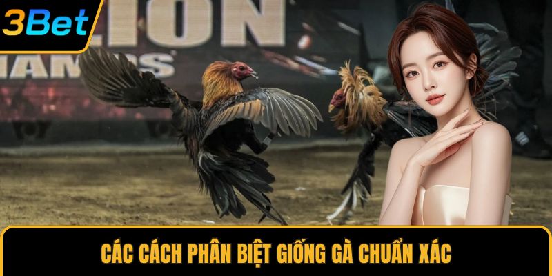 Các cách phân biệt giống gà chuẩn xác