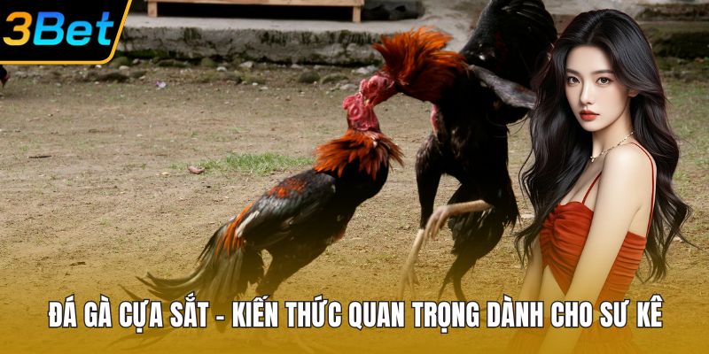 Đá Gà Cựa Sắt