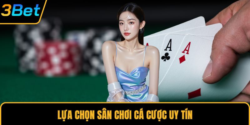 Lựa chọn sân chơi cá cược uy tín