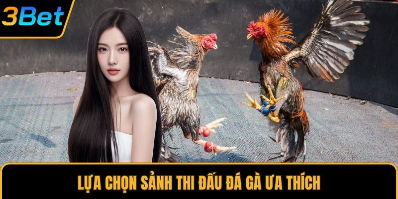 Lựa chọn sảnh thi đấu đá gà ưa thích