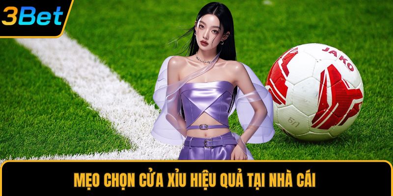 Mẹo chọn cửa xỉu hiệu quả tại nhà cái 