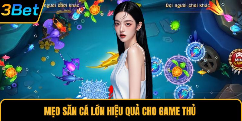 Mẹo săn cá lớn hiệu quả cho game thủ 