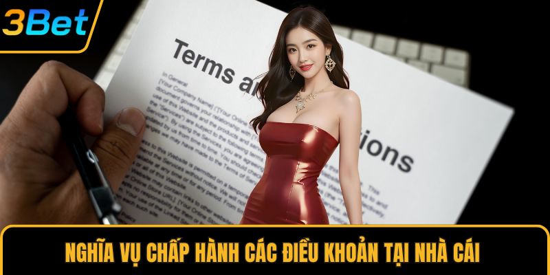 Nghĩa vụ chấp hành các điều khoản tại nhà cái