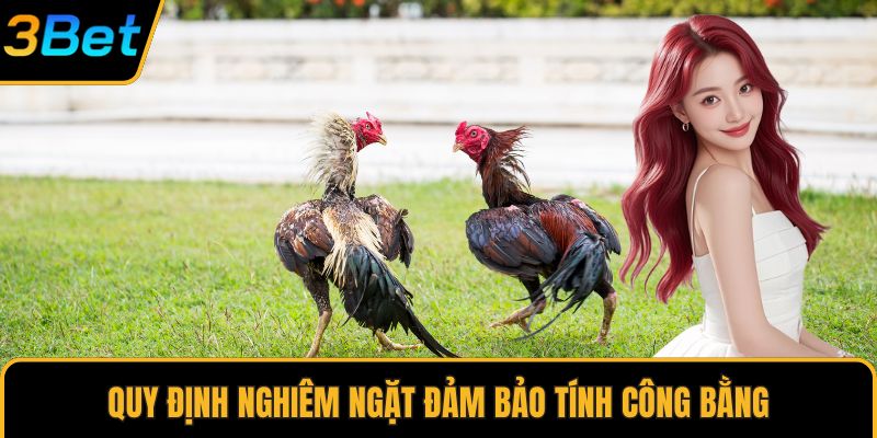 Quy định nghiêm ngặt đảm bảo tính công bằng