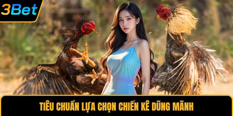 Tiêu chuẩn lựa chọn chiến kê dũng mãnh