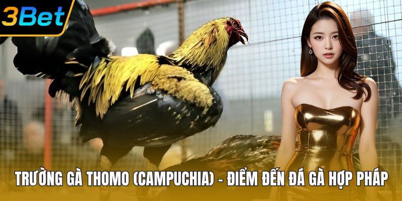 Trường Gà Thomo (Campuchia)